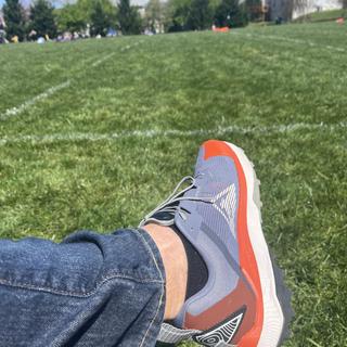 Submitted by lansfer1