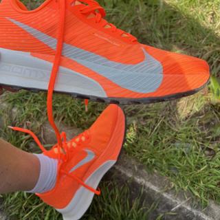 Submitted by GeoffG940713778