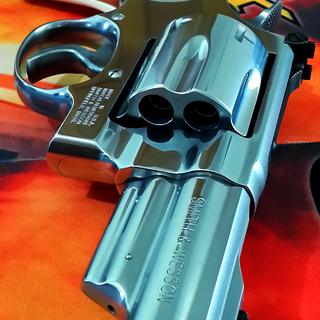 EACH VACATION】 S&W M629 .44MAGNUM S&W Model 629 .44 Magnum 20th