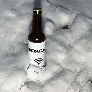 Gold cap reflecting the snow.