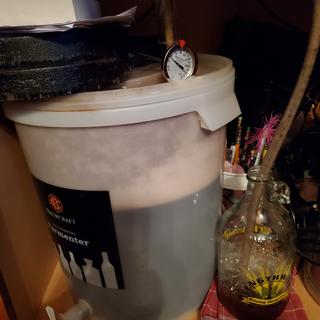 Very Active in Imperial Stout.  Will need blow off containment.