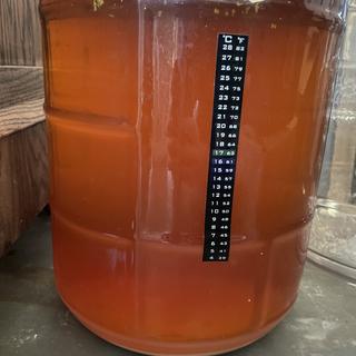 This is a pic of the Simcoe aSmash in the secondary fermentor.