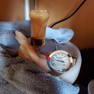 Very Active in Imperial Stout.  Will need blow off containment.