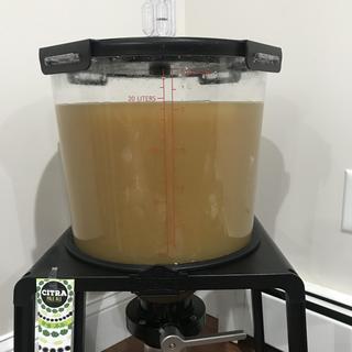 Safe and sound in my Catalyst fermenter.