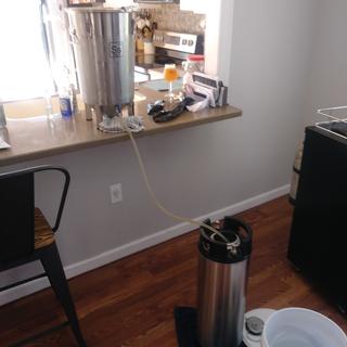 User submitted image