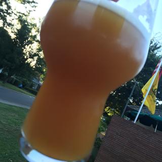 Poor lighting due to time of day but has a bright orange color.