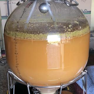 German Hefeweizen ready to Rack and Roll - Dave