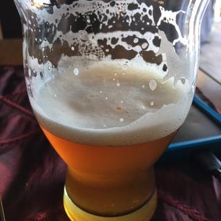 Orange IPA