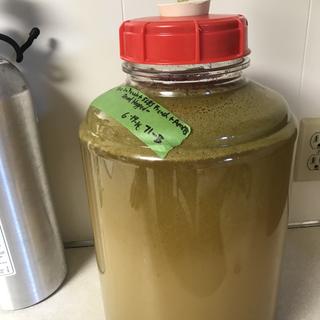 Dry hopped peach wine!