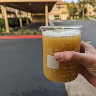 Right from the fermenter on keg day.