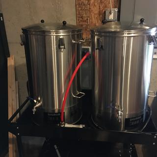 Dual brew system