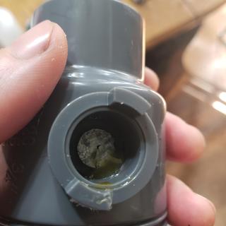 User submitted image