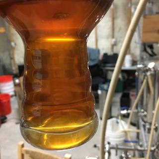 Bohemian Pilsner after about 3 months. Super clear