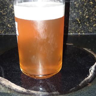 Citra Pale Ale using Pale Ale and Xtra Pale Malt.