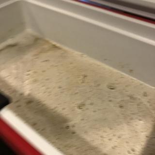 User submitted image