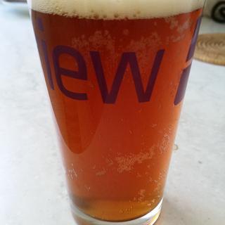Stupidly Named Pale Ale (Cali Mountain?? Really, that's the best you got?)