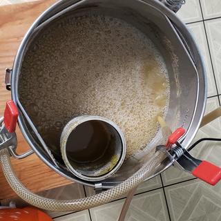 During boil and hops addition.