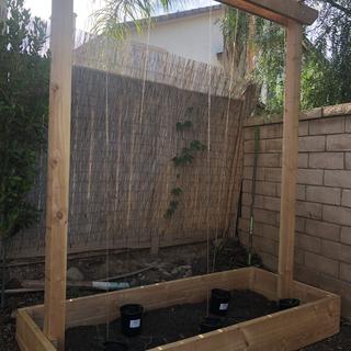 Built shop trellis for hop vines