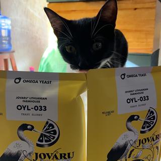 User submitted image