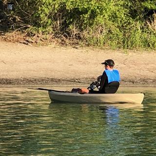 Shimano FX Spinning Rod - 9ft, Medium Heavy Power, Fast Action, 2pc