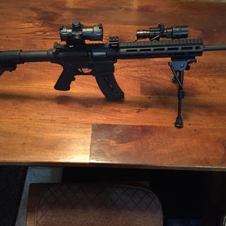 Smith & Wesson M&P 15-22 Sport w/Optic 22 Long Rifle 16.5in Matte Black Semi Automatic Rifle - 25+1 Rounds
