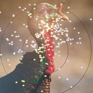 Stevens 301 410 Guage 3in Turkey Black/Camouflage Single Shot Shotgun - 26in