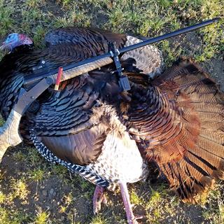 Stevens 301 410 Guage 3in Turkey Black/Camouflage Single Shot Shotgun - 26in