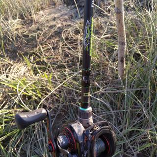 Dobyns Rods Fury Casting Rod | Sportsman's Warehouse