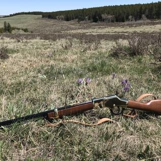 Henry Golden Boy Blued/Brass Lever Action Rifle - 22 Long Rifle - 20in