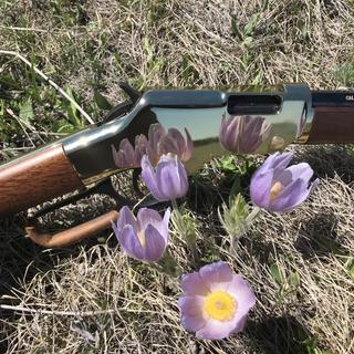 Henry Golden Boy Blued/Brass Lever Action Rifle - 22 Long Rifle - 20in