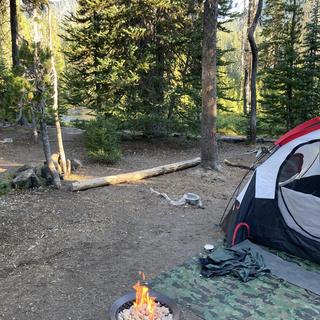 Bond Aurora Portable Gas Fire Bowl