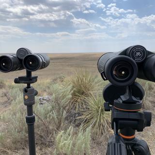 Vortex Kaibab HD 18x56 Fernglas – Hochleistungs-Verrekijker, Schwarz, Für Jagd Und Outdoor, Stativfähig