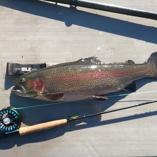 Temple Fork Outfitters NXT Black Label Fly Fishing Combo - 9ft, 5wt, 4pc