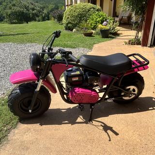 100cc Mini Coleman Mini Bike Walmart Realtree Walmart 200cc Mini