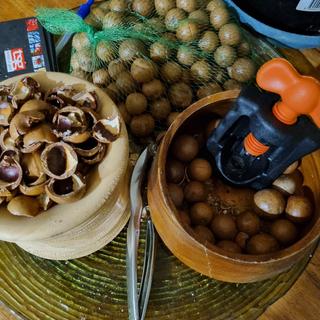 macadamia nut cracker kmart