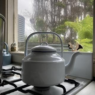 Tea Kettle Falcon Enamel Kettle Falcon Enamelware Kettle 2L White