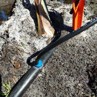 Rain Bird XB .5 GPH Drip Emitter | XB-05PC | Sprinkler Warehouse