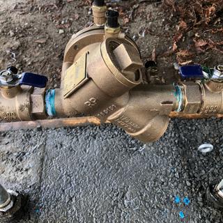 Febco | FE825Y-100 | 825Y RPZ Backflow Preventer 1 In. F - Foto 9