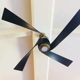 User submitted image