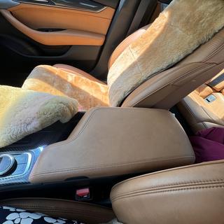 Submitted by JENNICA D