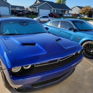 Submitted by Scott B