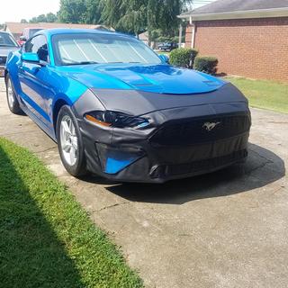 Submitted by David H