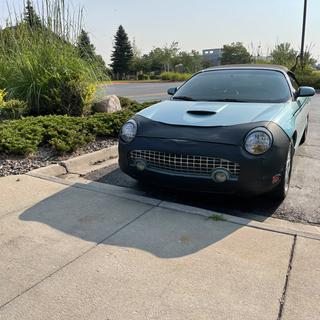 Submitted by Will W