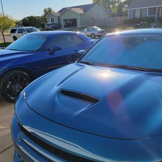 Submitted by Scott B