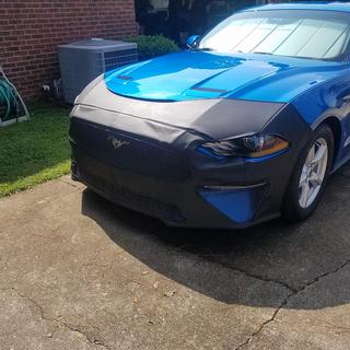 Submitted by David H