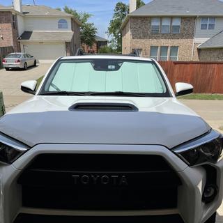 Submitted by Tu L