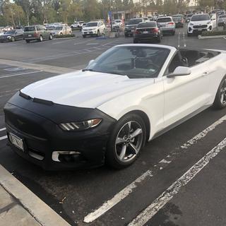 Submitted by Patti S