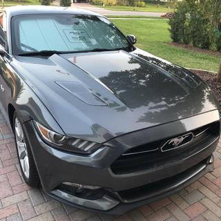 Submitted by Antonio B