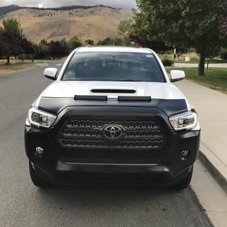 Submitted by Troy