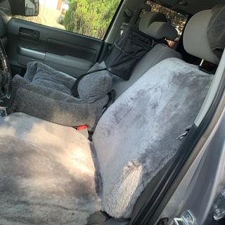 Submitted by Scott L